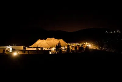 Wineries and Vineyards